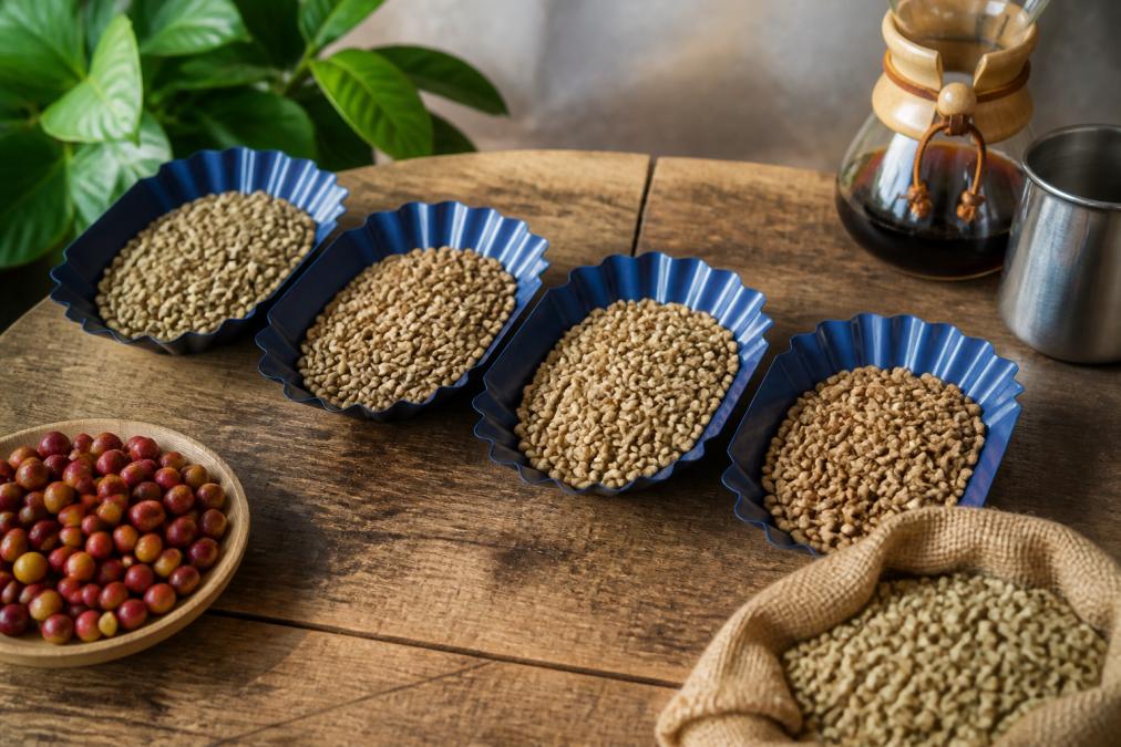Best Light Roast Single Origin Beans: Top Picks